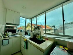 Centrina (D15), Apartment #459150891